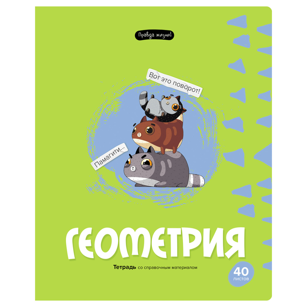 Тетрадь предметная 40л. BG "Правда жизни" - Геометрия — изображение 2